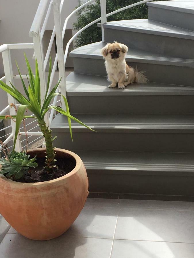 Drimades Blue Rooms เดอร์มี ภายนอก รูปภาพ